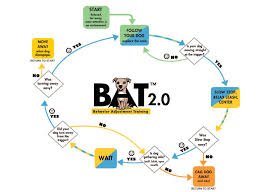 B A T Proactive Training Gives Dogs The Tools They Need To