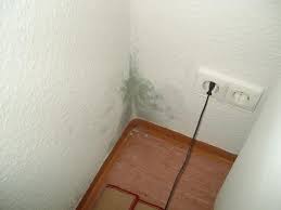 Vertrauen sie aber auch bei der ersten begehung schon ihrem ersten eindruck. Unterschiede Von Schimmel Erkennen Wohnung Wohnen Wohnungsmangel