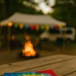 Furry Friends and Fridays — Hocking Hills
