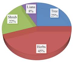 Image result for Harpachne schimperi