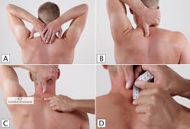 Image result for Shoulder Exam