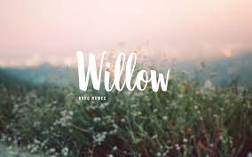 Willow Baby Name Character Name Boho Name Baby Names Cute Baby Names Character Names Looking for the best name of allah wallpaper? boho name baby names cute baby names