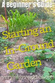 How To Plant A Garden For Beginners Step By Step Tutorial All Beginner Gardeners Need Gardening For Beginners Starting A Garden Vegetable Garden For Beginners