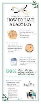 How To Have A Baby Boy A Gender Selection Infographic Famlii