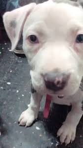 Vicky Danna (@vickydanna)