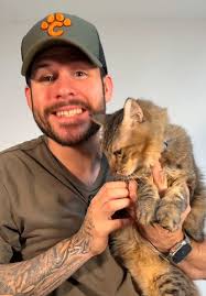 Alimentación y cuidados para un gatito sin nombre