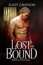 Want free access to the best romance audiobooks? Paranormal Romance Books