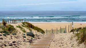 Un weekend pour decouvrir les disciplines lies au surf avec les championnats du. Contis Plage Un Spot De Surf Incontournable Dans Les Landes Location Mobilhome Landes