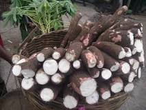 Image result