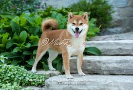 580 likes · 1 talking about this. Home