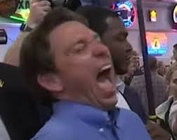 World Horrified and Disgusted as Meatball “Ron” DeSantis Set to Announce  Presidency with Elon Musk!, by Andrew Anglin