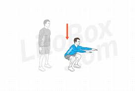 Tout les exercices de musculation. Squats 12 Etapes Pour Maitriser L Exercice En 2021