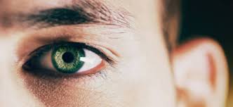 قيادة فتح منطقة صيدا تُضيء شُعلةَ انطلاقتها المركزية في مخيّم عين الحلوة. Why Do I Have Pain Behind My Right Eye For Eyes Blog