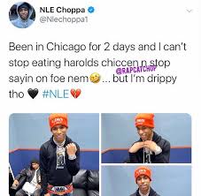 Nle Choppa Chiraqology Awakened choppa, bryson lashun potts, ynr choppa, and bryson potts. nle choppa chiraqology