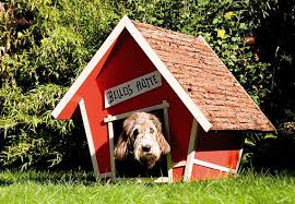 Individuelle Mobel Selber Bauen Hundehutte Hundehaus Ideen Hundehutte Bauen