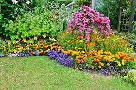 In this post, i will walk you through how to plan it. How To Plant An Annual Border Van Meuwen