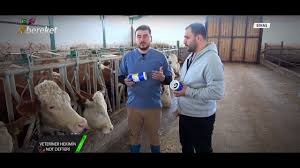 Veteriner Hekimin Not Defteri Ic Dis Parazit Asi Uygulamasi Youtube