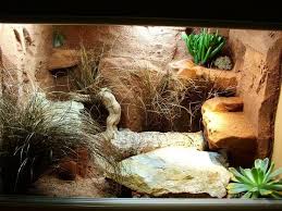 Best Leopard Gecko Viv I Want To Build This For My Arya Leopard Gecko Leopard Gecko Terrarium Gecko Habitat