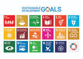 Our aim is to bring together one billion active citizens to achieve these goals. The United Nations And The Sustainable Development Goals Das Model United Nations Programm An Der Freien Universitat Berlin Freie Universitat Berlin
