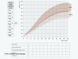 Kitten Growth Chart Weight Kg Best Picture Of Chart