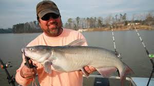 In addition to fishing, many folks enjoy relaxing on the shores, sunbathing or swimming, boating and skiing. Anchor Catch Catfish This Month On Clarks Hill Lake Carolina Sportsman