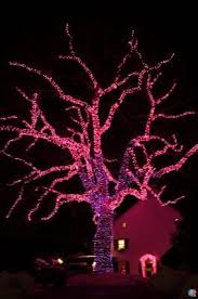 Led Christmas Light Display Pink Christmas Lights Purple Christmas Purple Christmas Decorations