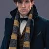 What actually are the crimes of grindelwald? 1