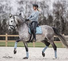 Our goal is to create beautiful and functional riding clothes that flatter the body. Equestrian Stockholm Steel Blue Horses Dapple Grey Horses Cute Horses