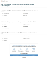 You are going to use what you have learned about. Genetics Dna And Protein Synthesis Worksheet Answers Editorvoper