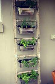10 Diy Potted Herb Garden Ideas Simphome Container Herb Garden Apartment Herb Gardens Herb Garden Wall