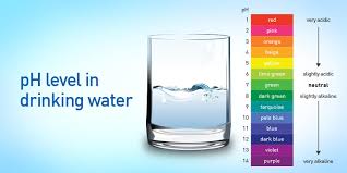 Ph Level In Water Why Do You Need To Be Concerned