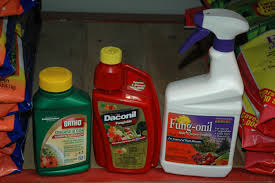 Integrated pest management is module 1 of the series: Fungicides For Disease Management In The Home Landscape Pacific Northwest Pest Management Handbooks