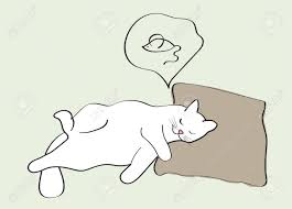 Dreaming of cats represents independence and powerful feminine energy as well as grace and elegance. Sleeping Cat Dreaming About Mouse Royalty Free Cliparts Vectors And Stock Illustration Image 73658202