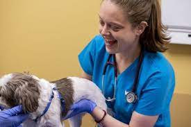 His assistant also had the same qualities. Vca Aurora Animal Hospital 63 Photos 212 Reviews Veterinarians 2600 W Galena Blvd Aurora Il United States Phone Number