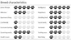 Huskies Characteristic Chart Redbone Coonhound Pharaoh