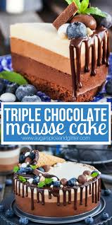 A Gluten Free Chocolate Mousse Cake Fit For A Party This Silky And Rich Chocol Triple Chocolate Mousse Cake Chocolate Mousse Cake Chocolate Mousse Cake Recipe