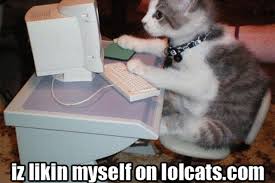 Image result for lolcats