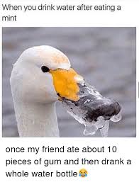Here Is What Happens If You Drink Too Much Water Memes Drinking Water What Happens If You