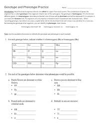 The illustration explores the relationship between the presence of different alleles at a specific locus and an organism's genotype and phenotype. Genotype Phenotype Worksheet