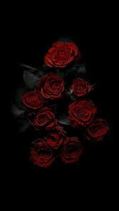 Black And Red Rose Wallpaper Nezaket Efe In 2020 Flowers Black Background Rose Wallpaper Red Roses Wallpaper