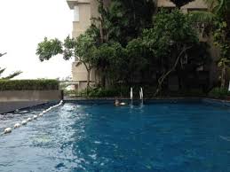 Suasana Kolam Renang Picture Of Golden Tulip Balikpapan Hotel Suites Tripadvisor