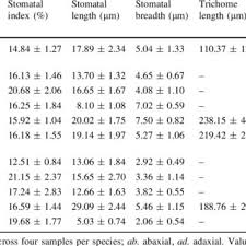 Image result for Strychnos matopensis