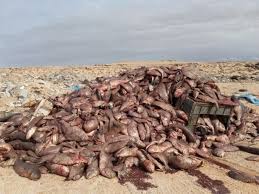نتیجه جستجوی لغت [discards] در گوگل
