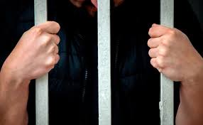 Observatorio ciudadano del sistema de justicia, méxico, prisión preventiva, sistema de justicia, derechos humanos, yucatán. Fiscalia General Del Estado Prision Preventiva Para 2 Ciudadanos Por Trafico De Drogas A Gran Escala