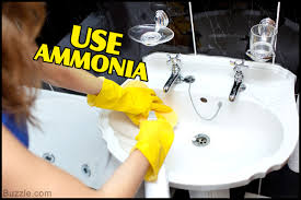 getting rid of fruit flies in
