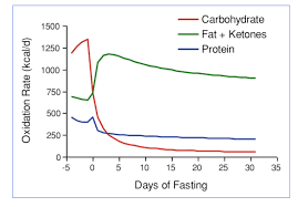 Extended Fasting Electrolytes Fasting For Weight Loss