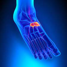 Pin On Podiatry Blog