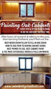 Painting Oak Cabinets Everything You Need To Know To Update Your Kitchen Cabinets The Right Way And In 10 Days Painting Oak Cabinets Oak Cabinets Painting Kitchen Cabinets