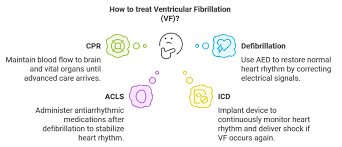 Image result for Ventricular Fibrillation Management in the Adult