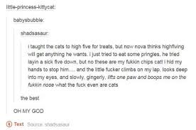 How To Save The Princess In 8 Programming Languages Immagine Di High Five Cat And Pringles In 2020 Tumblr Funny Funny Tumblr Posts The Funny